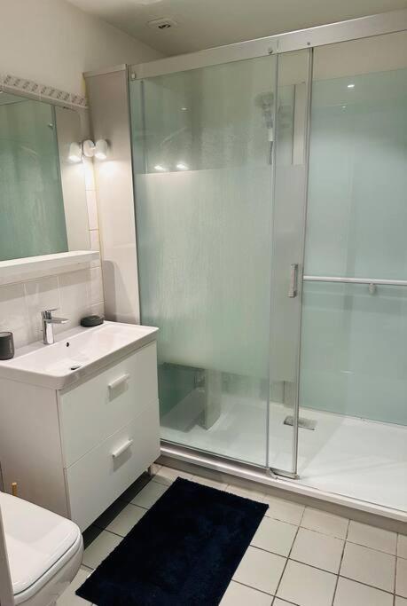 Appartement - Ax Les Thermes Ax-les-Thermes Eksteriør bilde